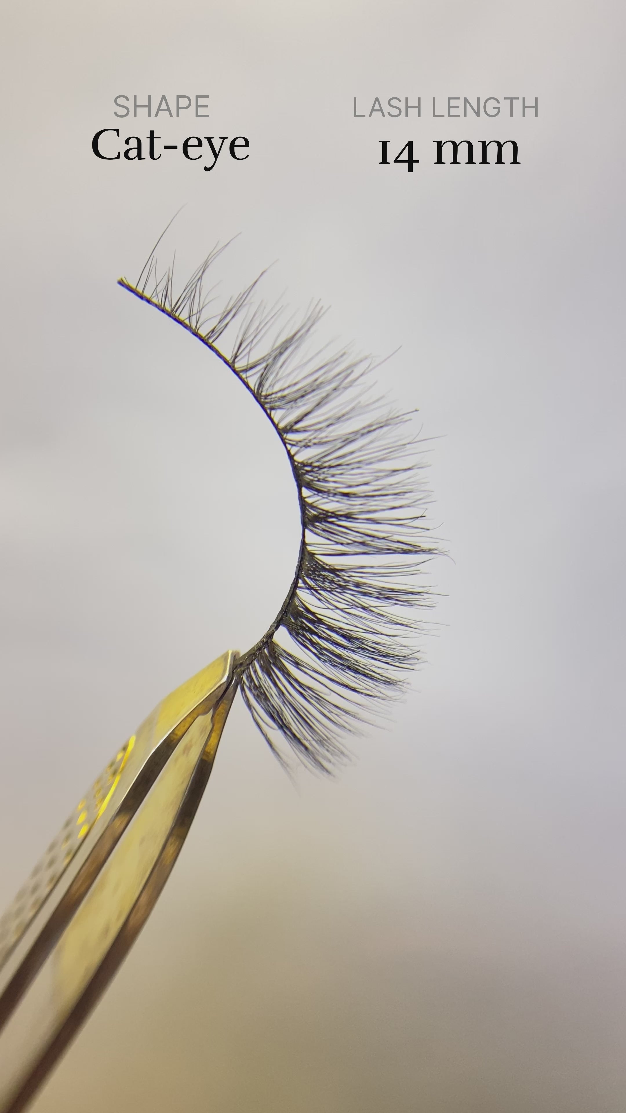 No Drama | Premium Eyelashes