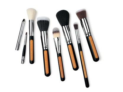Face Makeup Brush Set